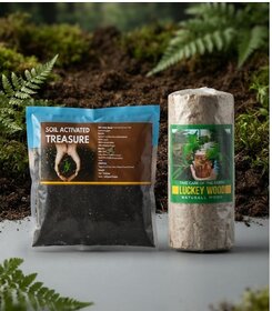 Brazilian lucky wood Dracaena Plant Free Soil Activater (Hybrid, Pack of 1)