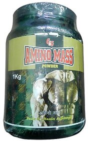 Amino Mass Powder 1kg