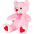 Ultra Cute Angel Teddy Soft Toy 16 Inches - Pink