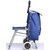 Multi-Purpose Trolley Bag with Foldable Chair - TRBAG
