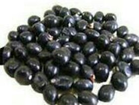 Kala Gunja-Black Abrus seed-Gamanchi-Gaunchi-Rati-Gulaganji (21 Piece)