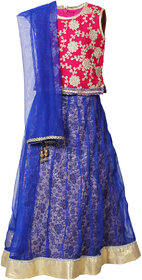 Little Radha Net Blue 9-10 Years  Lehenga Choli for Kids