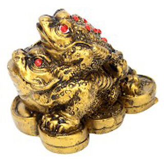                       Feng Shui Double Money Frog                                              