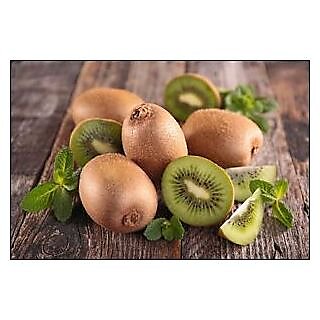 Seeds-Kiwi Fruit - 20