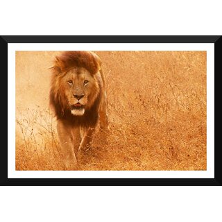 Buy Tallenge - Magnificent Lion - Large Size Ready To Hang Framed ...