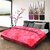 Titos Crimson Embossed double Bed Quilt