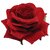 Homeoculture Red Rose Flower Hair Clip  Pack of 2 pieces