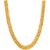 Golden Laxmi coin long necklace
