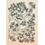 Gond Painting