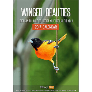 Winged Beauties - Birds Calendar 2017