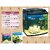 Imported Fish  Aquerium Tank
