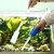 COLOURFUL AQUARIUM  Aquarium Gravel Cleaning Syphon Fish Tank Water Siphon Pump Water Changer Tool