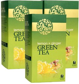 LaPlant Lemon and Ginger Green Tea - 75 Tea Bags (Pack of 3)