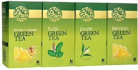 LaPlant Green Tea Combo III - 100 Tea Bags (Pack of 4 Pure, Lemon, Tulsi  Lemon-Ginger)