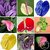Anthurium Seeds Balcony Potted Plant Anthurium Flower Seeds for DIY Home Garden