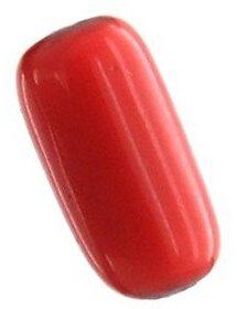 Jaipur gemstone 8.50 carat Red coral (Moonga) Natural Certified Stone