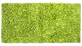 Rug Mat
