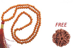 100 Original Real 5 Mukhi Rudraksha Mala For Jaap  5 Mukhi Rudraksha Bead FREE