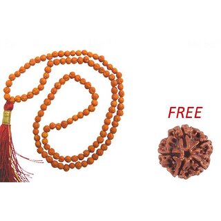 100 Original Real 5 Mukhi Rudraksha Mala For Jaap  5 Mukhi Rudraksha Bead FREE
