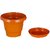 6 inch Gardening Pots + Trays - Terracotta Color Planter (Pack of Twelve) - Minerva Naturals
