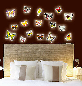 Y0024 Butterfly Radium/Glow In The Dark Wall Sticker Jaamso Royals