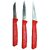 hdecore 3 Pcs Salad Carving Knife / Vegetable Carving Knife / Fruit Carving Knife Set