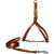 Petshop7 Nylon  Dog Harness  Leash 0.5 Inch - Brown (Chest Size  16-21 Inch) - Xtra Small