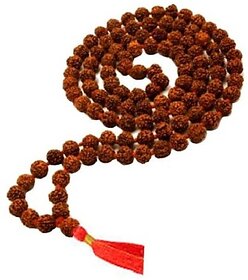 Original Rudraksha Mala 108+1 Beads (20 mm)