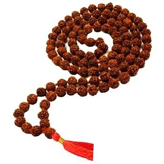 Original Rudraksha Mala 108+1 Beads (20 mm)