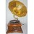 Antique Gramophone