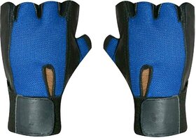 CP Bigbasket Netted Wrist Support Gym  Fitness Gloves (Blue)