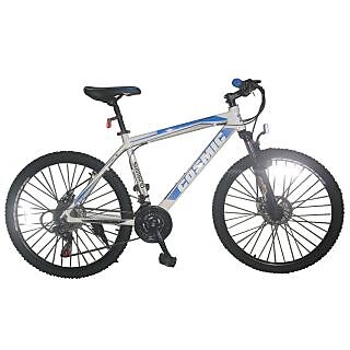 Cosmic shop flash bicycle