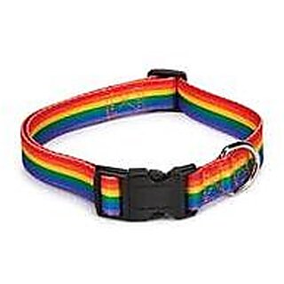Dog's Neck Belt Multicolor
