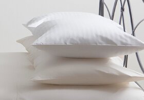 Softtouch Premium Reliance Fiber Pillow Set of 2-45x66