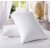 Softtouch Premium Reliance Fiber Pillow Set of 2-41x70