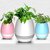 Agarwal Trading Corporation Musical Flower Pot With Leaf Piano Bluetooth