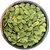 True Elements Roasted Seeds Combo (Pumpkin,Sunflower,Flax,Watermelon,Flax  Watermelon,Sunflower Pumpkin  Flax), 750g(1