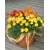 Cosmos Flowers Yellow Mixed - Supers Seeds For Home Garden - Pack of 30 Seeds