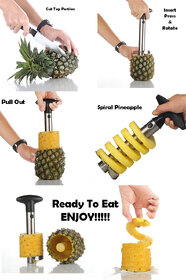Right Traders Stainless Steel Pineapple Remover ,Corer, Peeler, Slicer