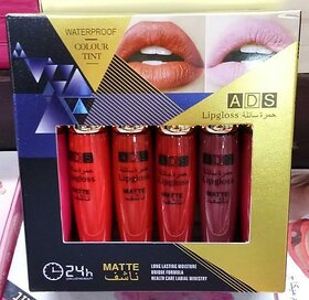 ADS Waterproof Nontransfer Longlasting Matte Lip gloss 6 Color