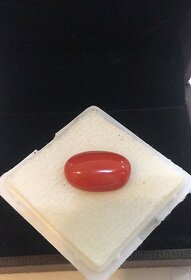 Coral Moonga 8.25 Ratti Natural Unheated Stone Jaipur Gesmtone