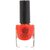 Gorgeous Cosmos Classic- Scarlet Red Shade Toxic Free Nail Polish