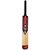 NEW BALANCE Sticker Kashmir Willow Cricket Bat   Full Size (For Age Group 15 Yrs & Above) (Pack of 1)
