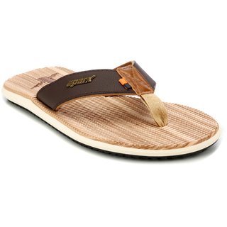 Sparx sfg 2079 online