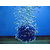 Air Stone - Air Bubbles Maker - Quality Product for Aquarium
