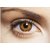Optify Brown Monthly Color Contact Lens (5.0 Power, Brown)