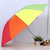 Branded 3 fold Rainbow Unisex Umbrella