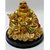 Rebuy Laughing Buddha Sitting on Luck Money Coins carrying Golden Ingot for Good luck  Happiness