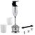 Worldmix Metalica Hand Blender 250 Watts With Chutney and Soup Attachment (Silver)