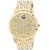 Sonata Quartz Gold Dial Women Watch-7107YM01